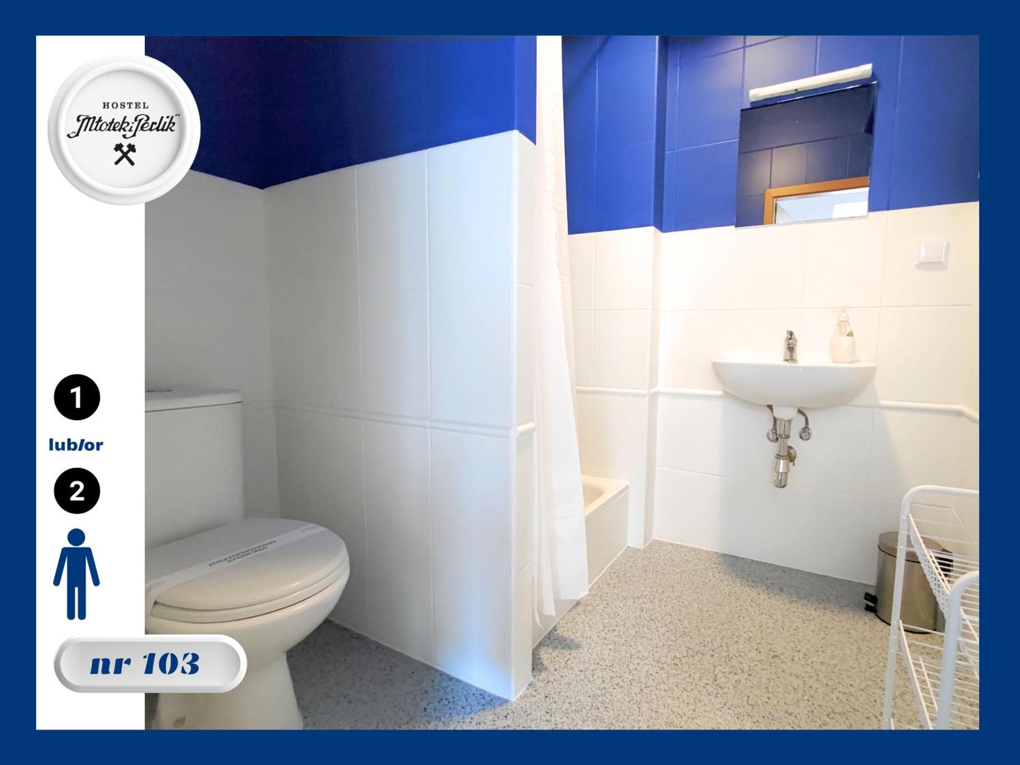 Hostel Mlotek I Perlik Tarnowskie Góry Εξωτερικό φωτογραφία